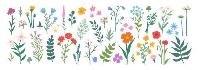 Flowers set hand drawn pencil. Cute simple colorful doodle art. Floral of wildflower, leaf branch. Blossom illustration for decor, easter, sticker, clipart, print