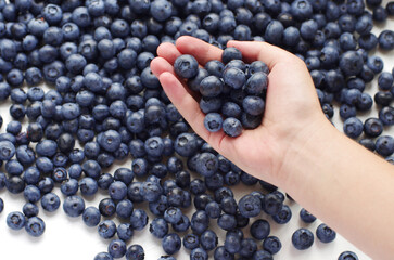 Close up of hands holding blueberry.