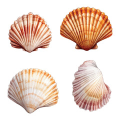 Obraz premium Adobe Illustrator Artwork