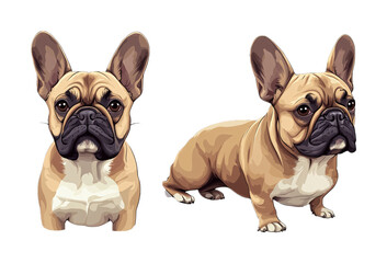 Fototapeta premium French Bulldog for Small Dog Breed and Pet Art - Isolated on White Background