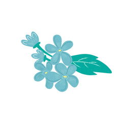 blue flower isolated on white background. Hand drawn summer flowers in spring season illustration