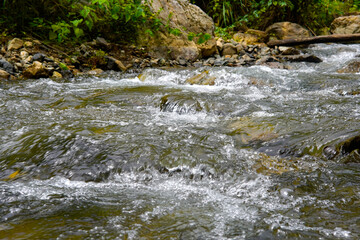 River crossing in the middle of the forest in Costa Rica
