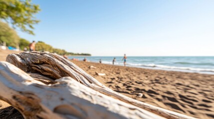 Obraz premium Tranquil Beach Scene with Driftwood and People Enjoying a Sunny Day by the Ocean