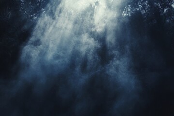 Obraz premium sunbeams through dense forest fog misty morning