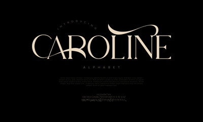 Luxury Decorative Serif Font Vector for Branding and Editorial Projects