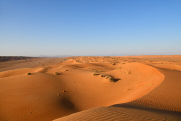 Fototapeta na wymiar Dunes of Rub Al Khali desert. Wahiba Sands. Sultanate of Oman.