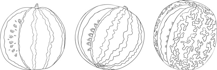 Watermelon line illustration set. Watermelon fruit vector set. Illustration of watermelon for coloring pages