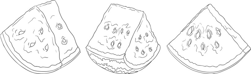 Watermelon line illustration set. Watermelon fruit vector set. Illustration of watermelon for coloring pages