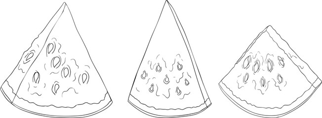Watermelon line illustration set. Watermelon fruit vector set. Illustration of watermelon for coloring pages