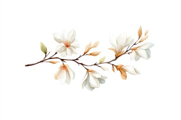 Obraz premium This watercolor artwork features a graceful branch with elegant flowers in soft shades of white and cream, capturing the essence of nature's charm in a serene composition