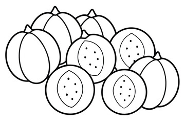 santol line art drawing of exotic fruit outline