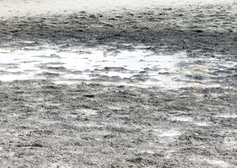 Wet muddy ground with puddles and textured surface