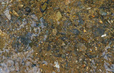 River crossing in the middle of the forest in Costa Rica