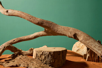 Round log cut across, flat on the surface and rough on the bark. Surrounded by crooked dry branches, gnarled in shape, twisted and cracked, with many cracks and holes due to the erosion of time.