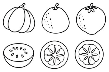 sapote line art detailed tropical fruit drawing black and white