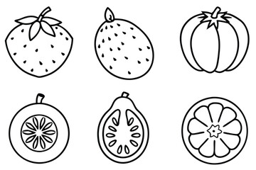 sapote line art vintage style tropical fruit sketch art