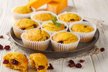 Tender muffins with pumpkin puree and cranberries close-up in a plate on the table. Horizontal