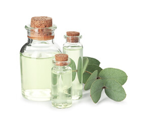 Bottles of essential oil and eucalyptus leaves isolated on white