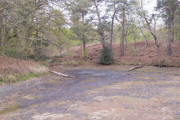 The Basingstoke Canal