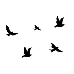 Obraz premium Flying Birds Silhouette