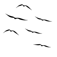 Flying Birds Silhouette