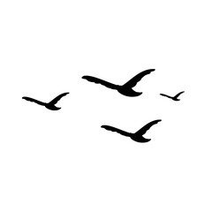 Flying Birds Silhouette