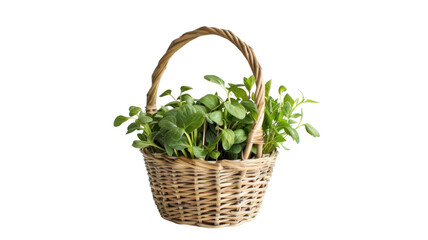 Obraz premium Vibrant Fresh Vegetables in Basket Ultra HD Stock Photo