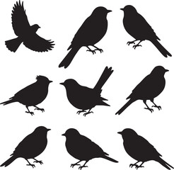 Obraz premium set of birds silhouettes