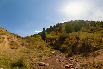 Mountain Creek Bed with Junipers Under Sunny Sky