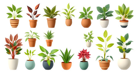set of plants in pots