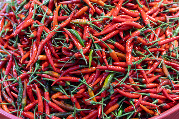 A collection of vibrant red and green chili peppers beautifully arranged in a market basket.