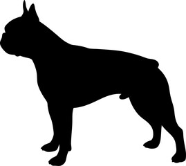 Boston Terrier Silhouette Dog Breed Profile Perfect for Pet Lovers and Graphic Design Projects