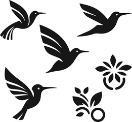 Simple Minimalist Hummingbird Vector Art, Elegant Hummingbird Illustration on White or Transparent Background