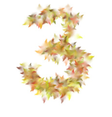 Digit 3 Formed by Autumn Leaves, Soft Focus, Warm Colors, Isolated Background