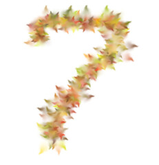 Digit 7 Formed by Autumn Leaves, Soft Focus, Warm Colors, Isolated Background