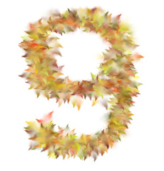 Digit 9 Formed by Autumn Leaves, Soft Focus, Warm Colors, Isolated Background