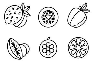 guaran line art illustration with unique style