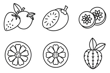 guaran line art elements in modern decoration