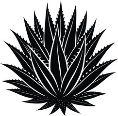 Aloe Vera Silhouette Black Vector | Medicinal Plant, Herbal & Nature Design