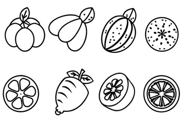 guaran line art theme for artistic expression