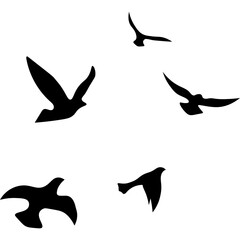 Flying Birds Silhouette