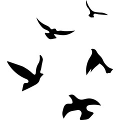 Fototapeta premium Flying Birds Silhouette