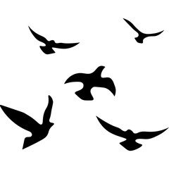 Flying Birds Silhouette