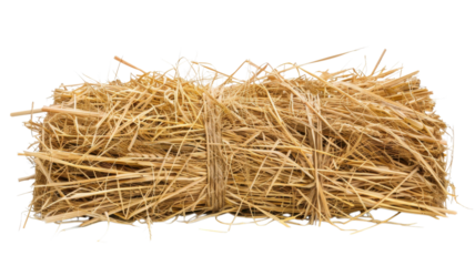 Golden Wheat Straw Bundle Rustic Autumn Harvest Isolated on White Background 7K Ultra HD Stock Photo