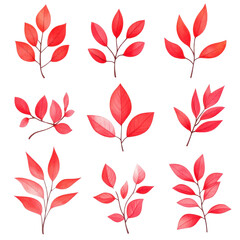 Autumnal Red Leaf Collection: A vibrant assortment of red autumn leaves, artfully arranged and captured in a photorealistic illustration, ready for use in various graphic designs. 
