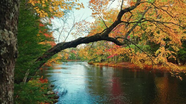Picturesque view of the Kejimkujik National Park in autumn. View of the river and colorful tree foliage. Scenic landscape. Serene wilderness sanctuary. Dense forest and pristine lakes.