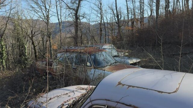 Abandoned cars covered with brushwood in a dry winter field.