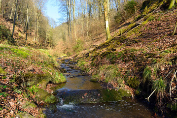 Rückersbacher Schlucht in Johannesberg/Aschaffenburg (Bayern)