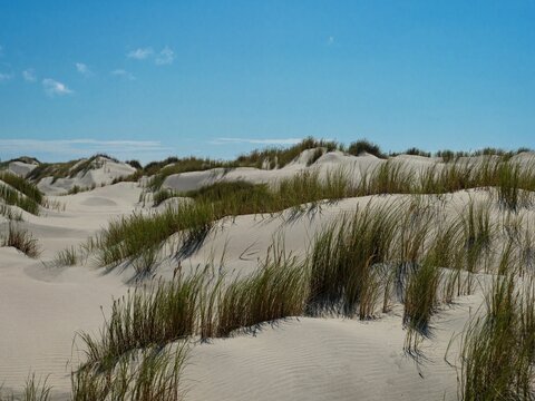 Grass covered sand dunes wild nature landscape at Farewell Spit pacific ocean beach in Golden Bay Tasman South Island New Zealand