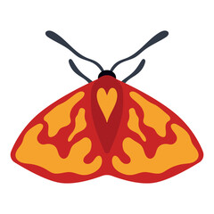 Colorful Moth isolated Vector Illustration. Bright vector illustration of a colorful moth featuring bold red and orange pattern. Ideal for designs needing vibrant insect imagery and vivid colors